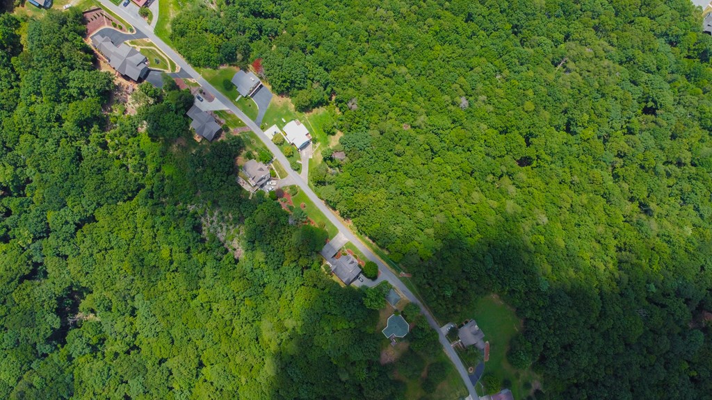 Lot 34 Talona Mountain Road Ellijay, GA 30536 - Photo 10 of 15