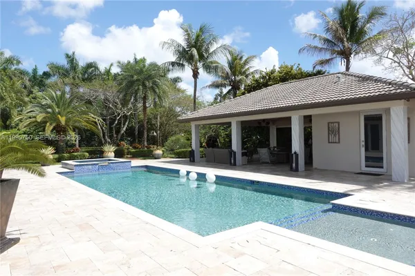 a outdoor space with lots of palm trees