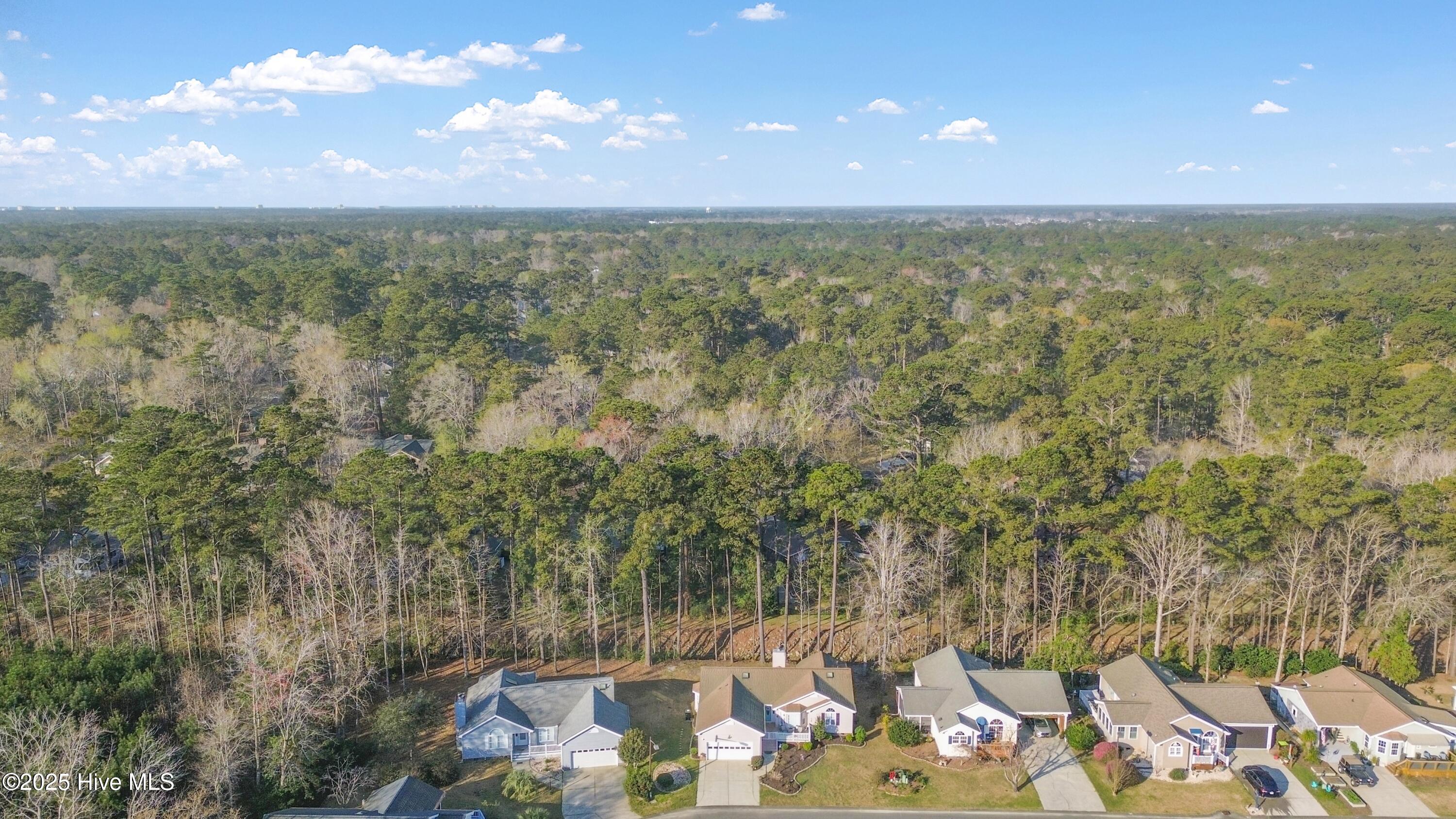 445 Deer Path Calabash, NC 28467 - Photo 36 of 37 MBSunMarch23 - 41