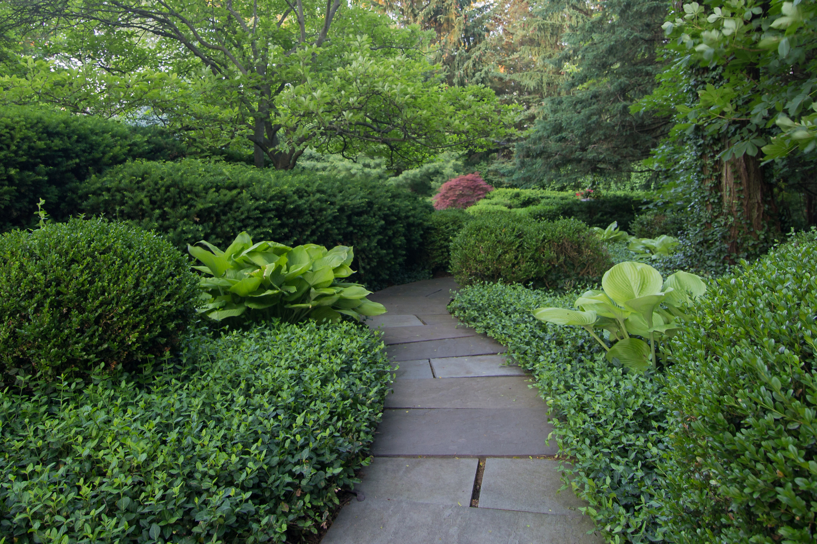 404 East Deerpath Road Lake Forest, IL 60045 - Photo 41 of 44 a view of a pathway covered with flower plants