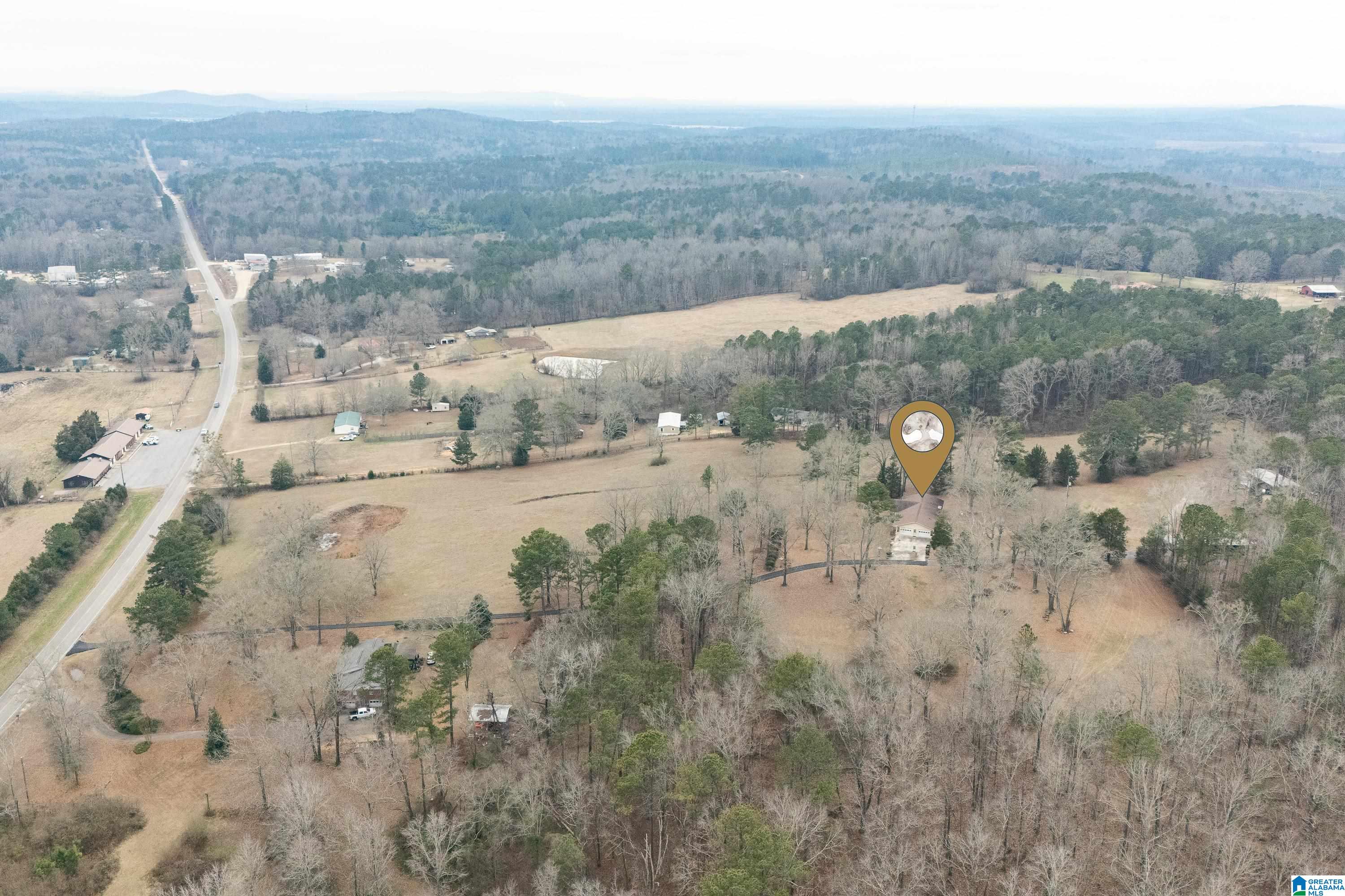 4175 Logan Martin Dam Road Cropwell, AL 35054 - Photo 39 of 47