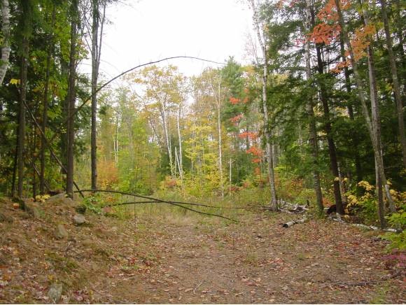 95 Saltmarsh Pond Road Gilford, NH 03249 - Photo 1 of 1 Gallery Image 1