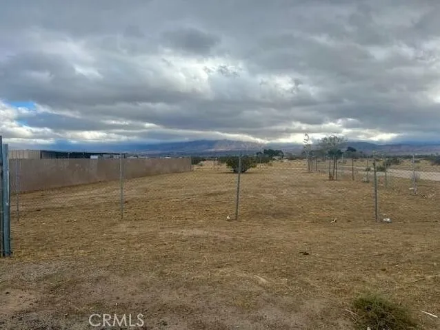 a view of a water yard