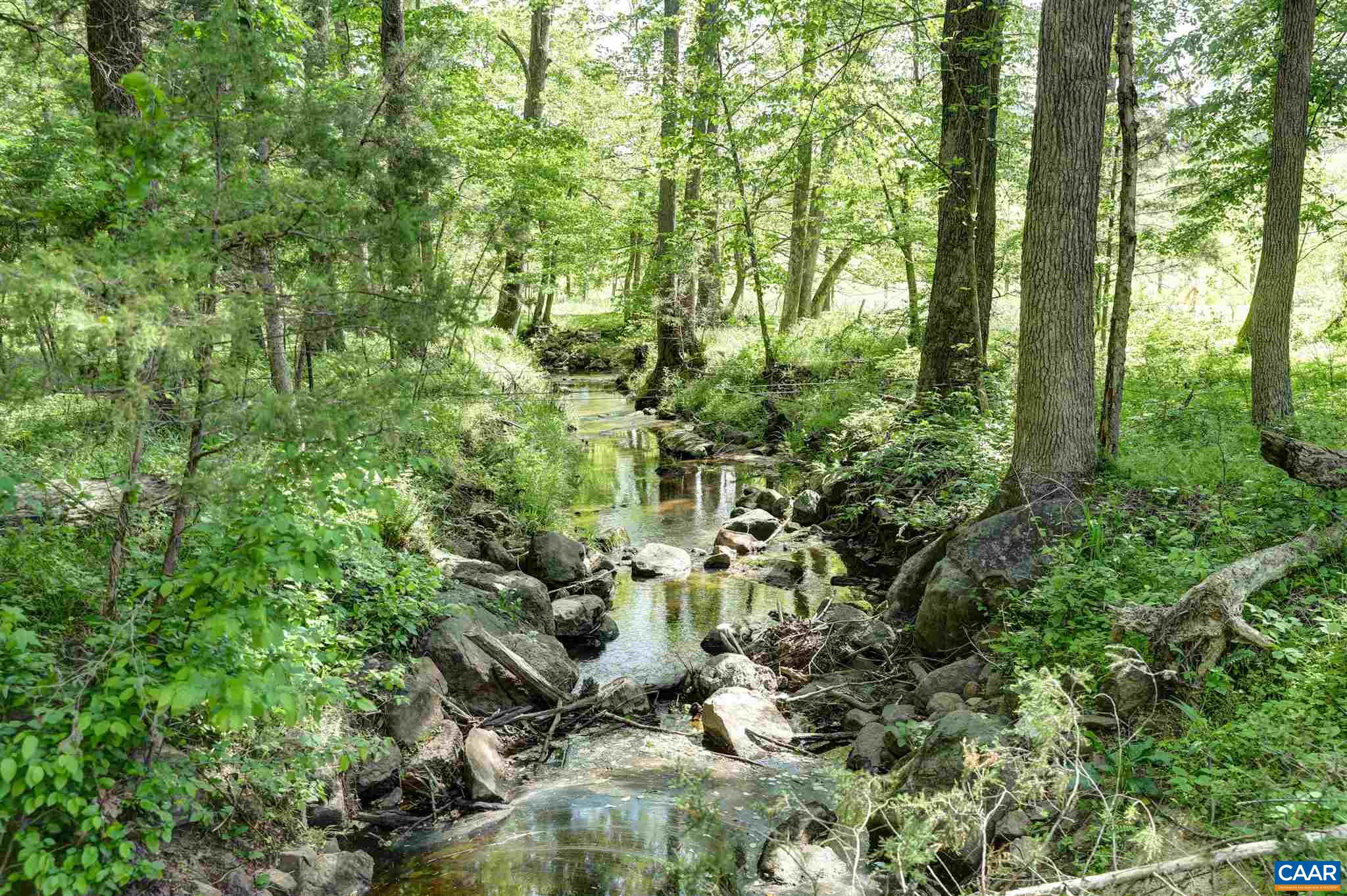 549 Shiloh Church Road Palmyra, VA 22963 - Photo 20 of 63 Gallery Image 20