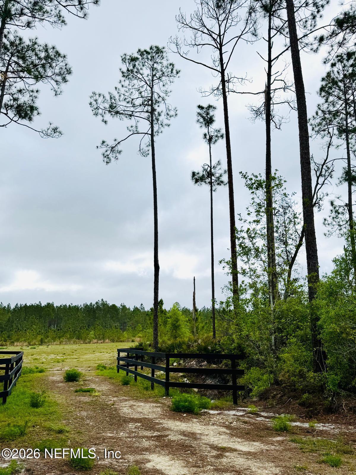 2857 Steel Bridge Road Macclenny, FL 32063 - Photo 15 of 32 WhatsApp Image 2026-04-09 at 1.45.34 PM