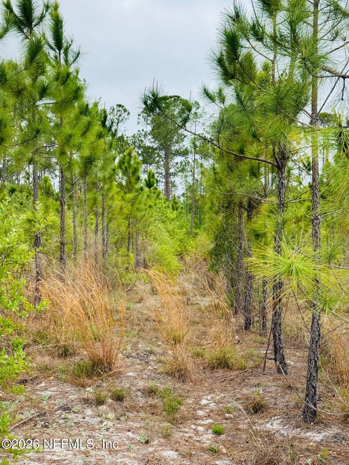 2857 Steel Bridge Road Macclenny, FL 32063 - Photo 17 of 32 WhatsApp Image 2026-04-09 at 1.45.34 PM