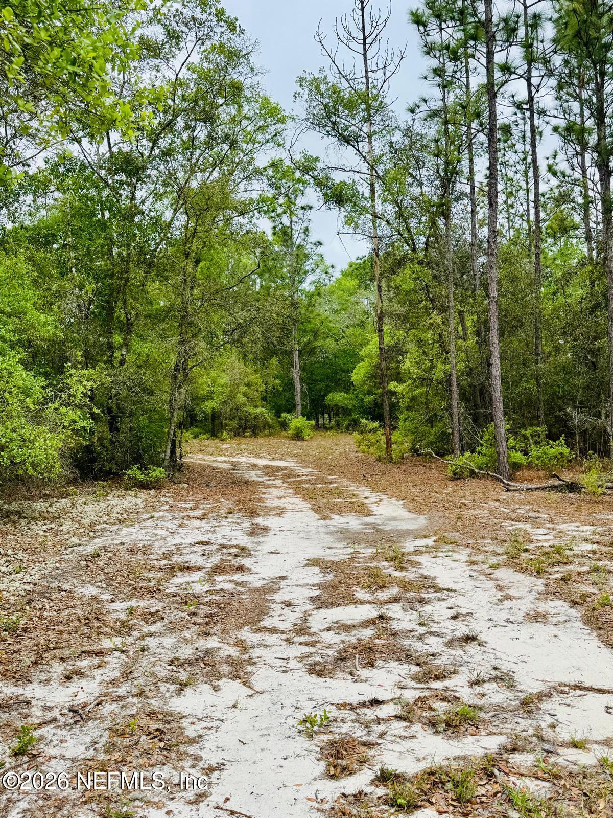 2857 Steel Bridge Road Macclenny, FL 32063 - Photo 20 of 32 WhatsApp Image 2026-04-09 at 1.45.35 PM