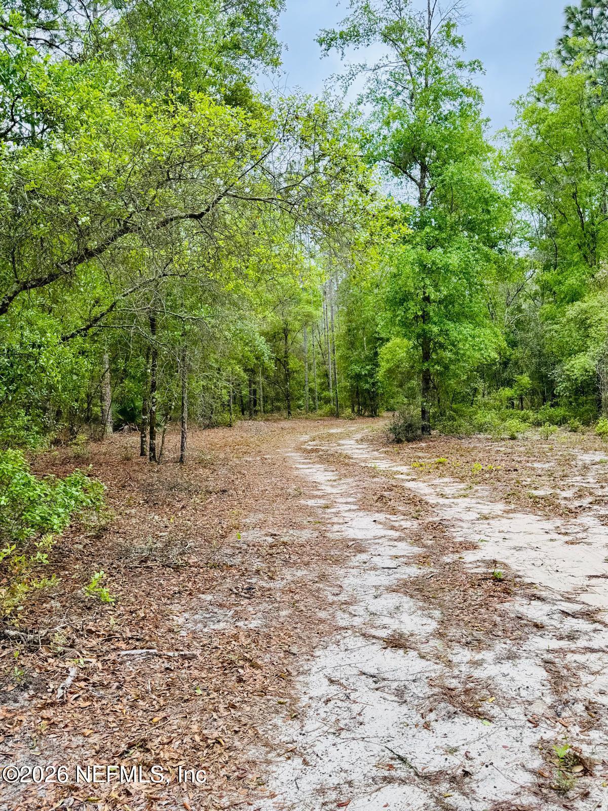 2857 Steel Bridge Road Macclenny, FL 32063 - Photo 21 of 32 WhatsApp Image 2026-04-09 at 1.45.35 PM