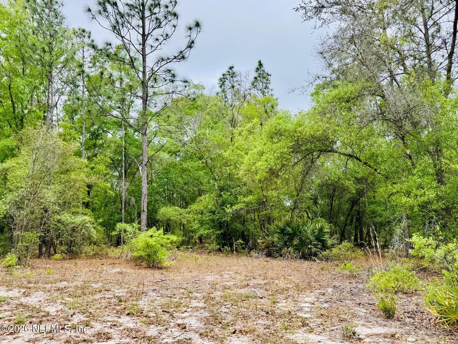 2857 Steel Bridge Road Macclenny, FL 32063 - Photo 22 of 32 WhatsApp Image 2026-04-09 at 1.45.35 PM