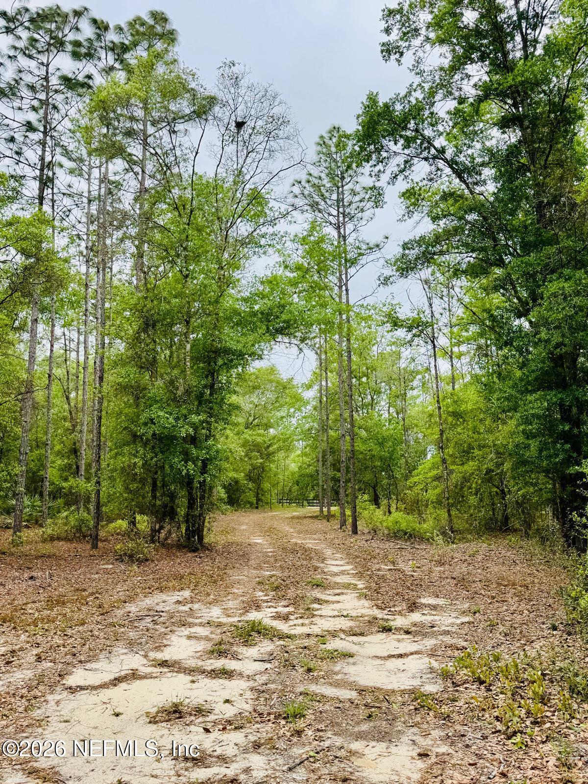 2857 Steel Bridge Road Macclenny, FL 32063 - Photo 23 of 32 WhatsApp Image 2026-04-09 at 1.45.35 PM