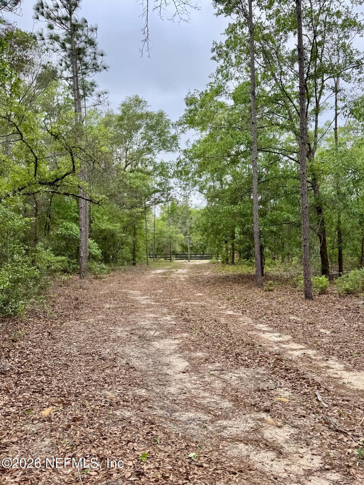 2857 Steel Bridge Road Macclenny, FL 32063 - Photo 24 of 32 WhatsApp Image 2026-04-09 at 1.45.35 PM