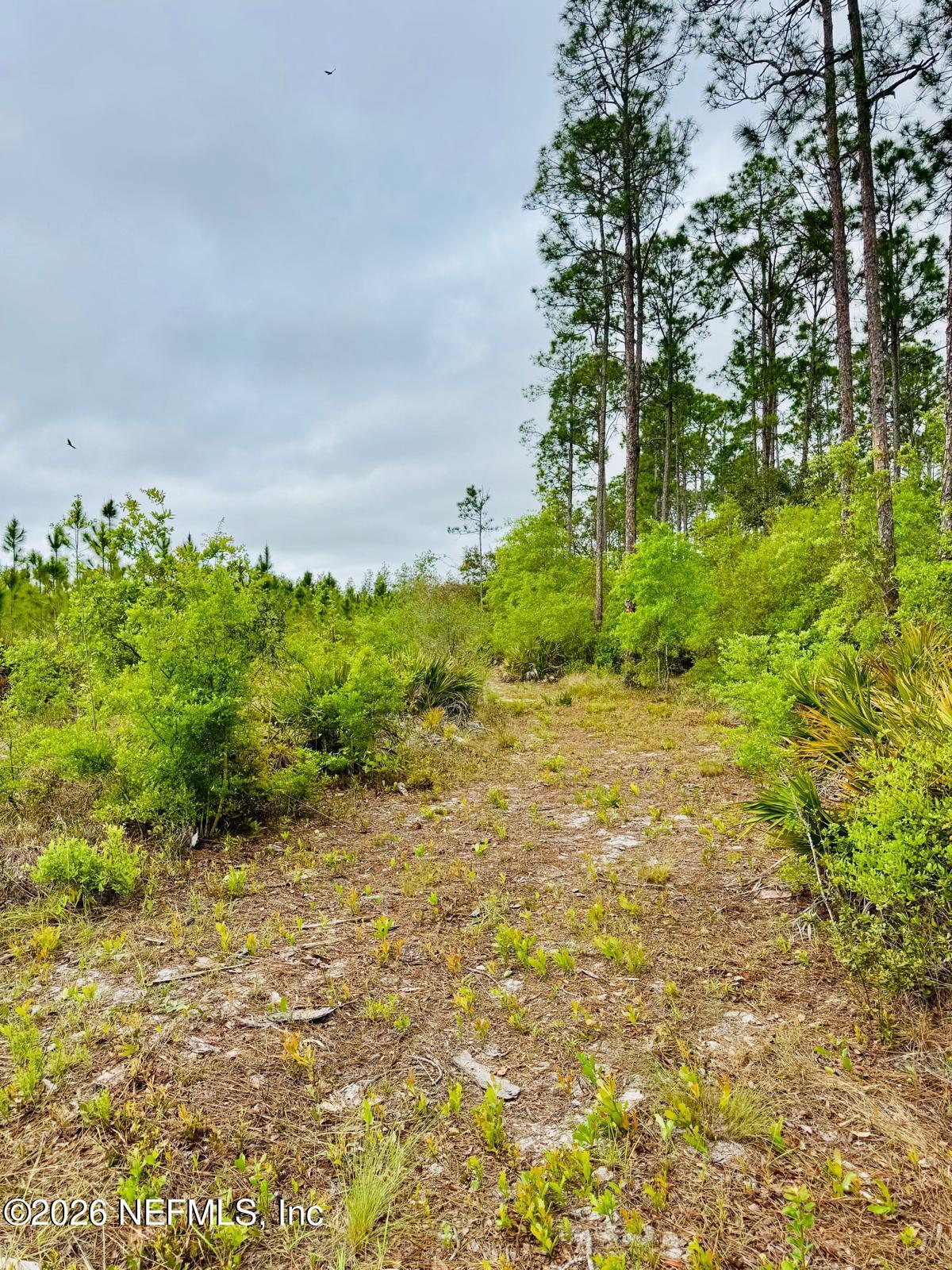2857 Steel Bridge Road Macclenny, FL 32063 - Photo 31 of 32 WhatsApp Image 2026-04-09 at 1.45.35 PM