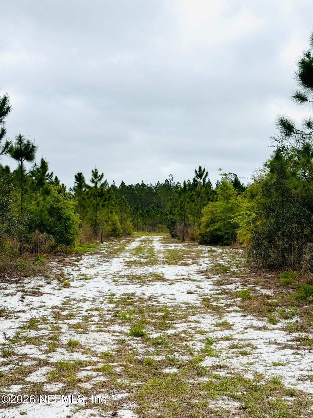 2857 Steel Bridge Road Macclenny, FL 32063 - Photo 7 of 32 WhatsApp Image 2026-04-09 at 1.45.34 PM