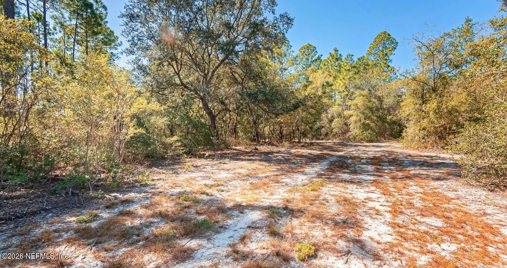 2857 Steel Bridge Road Macclenny, FL 32063 - Photo 10 of 14 Screenshot 2026-03-30 183941