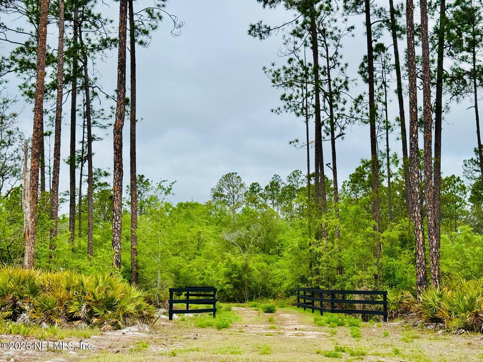 2857 Steel Bridge Road Macclenny, FL 32063 - Photo 10 of 32 WhatsApp Image 2026-04-09 at 1.45.34 PM