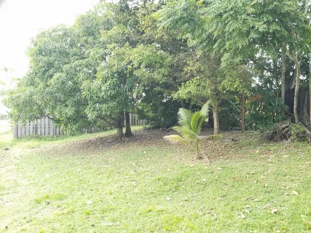 a view of a yard with a tree