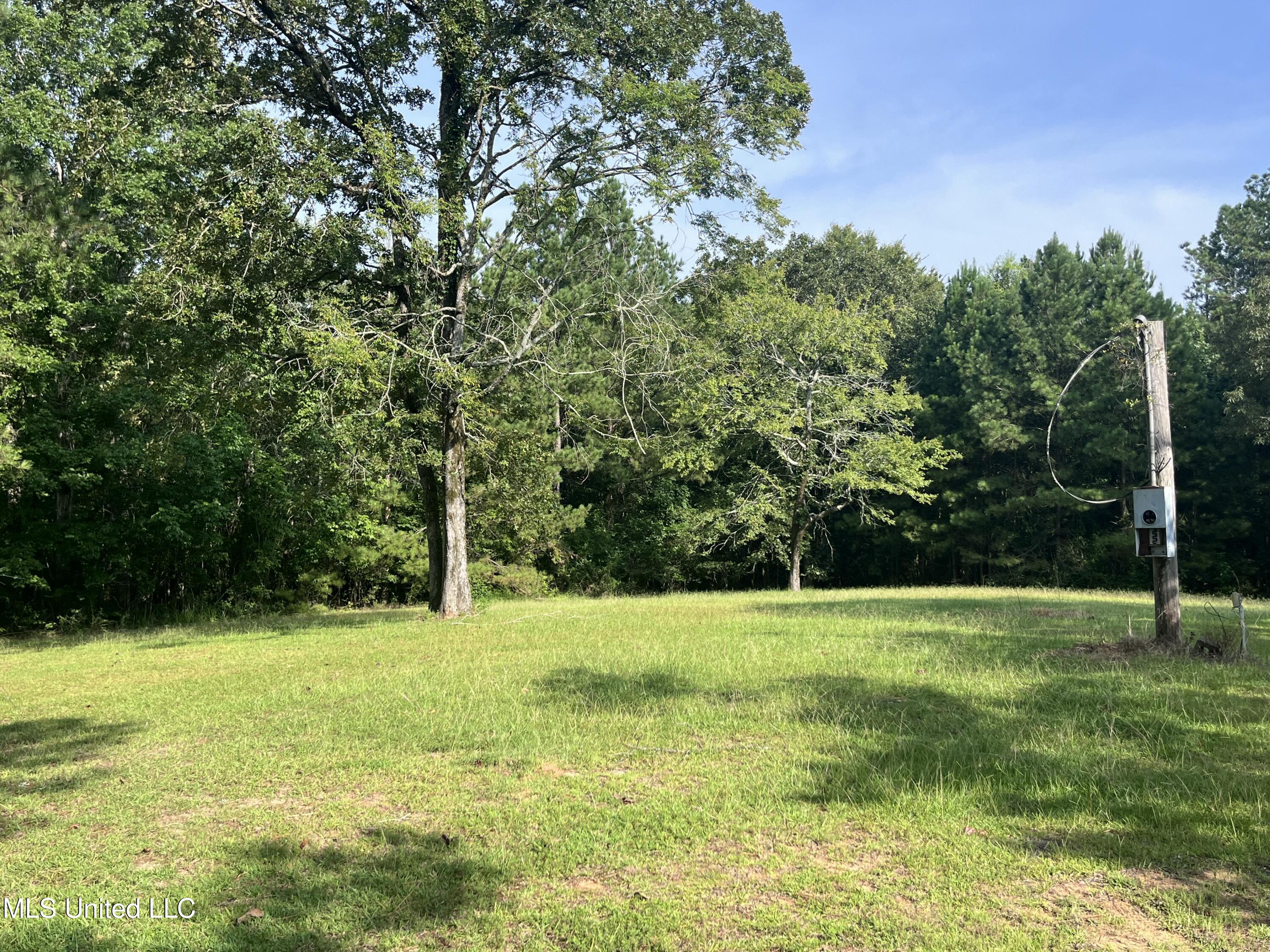 297 Barnes Road Florence, MS 39073 - Photo 136 of 170 IMG_8446