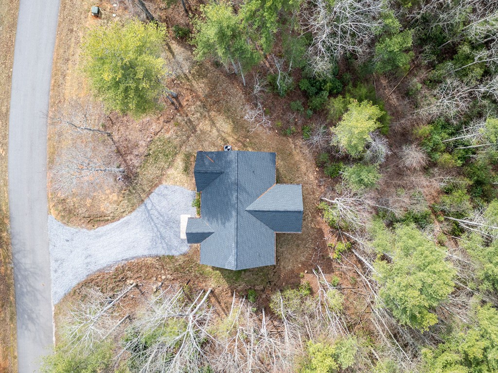 325 River Mountain Road Murphy, NC 28906 - Photo 45 of 57