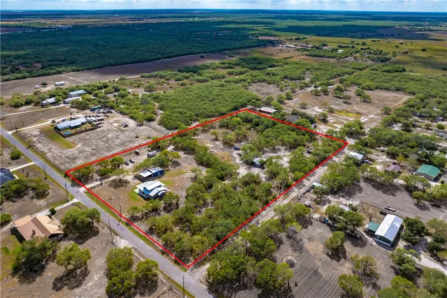 a view of a lush green forest