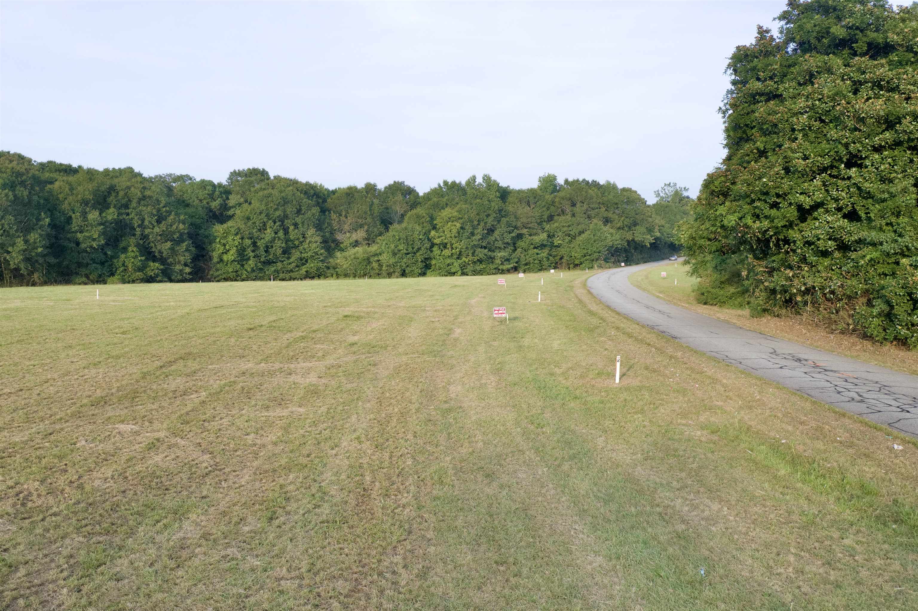 Tract 6 Iron Bridge Road Cowpens, SC 29330 - Photo 3 of 5