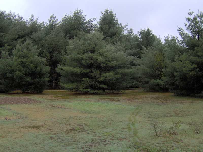 293 Kennebec River Road Embden, ME 04958 - Photo 5 of 6 Yard/Garden.