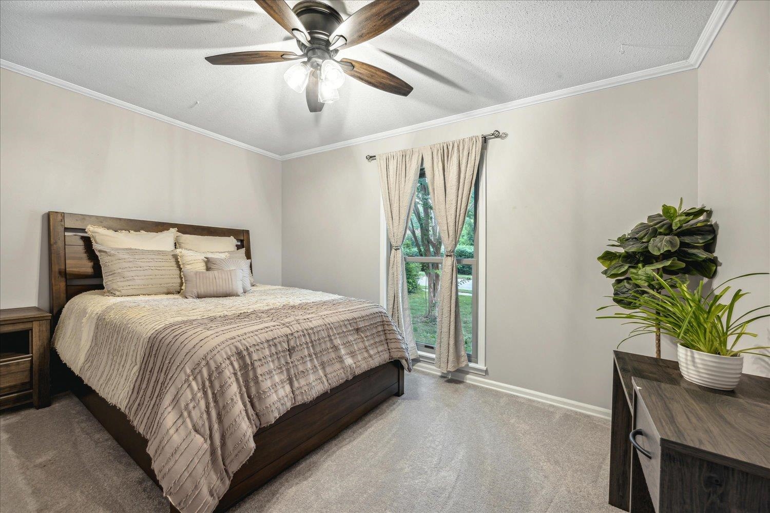 2397 Lynnfield Road Memphis, TN 38119 - Photo 8 of 28 a bedroom with a bed and a potted plant