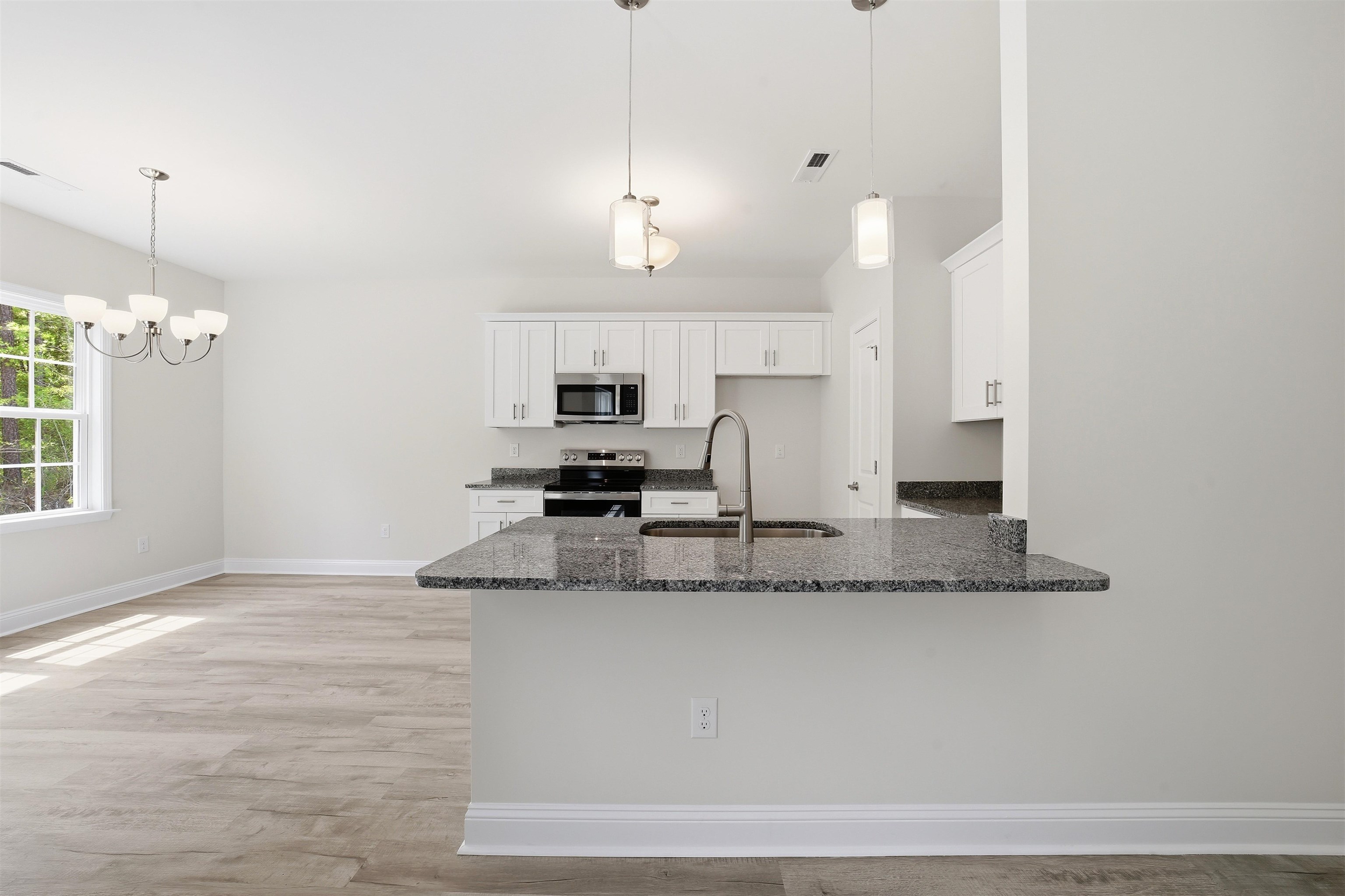 120 Violet Way Loris, SC 29569 - Photo 5 of 41