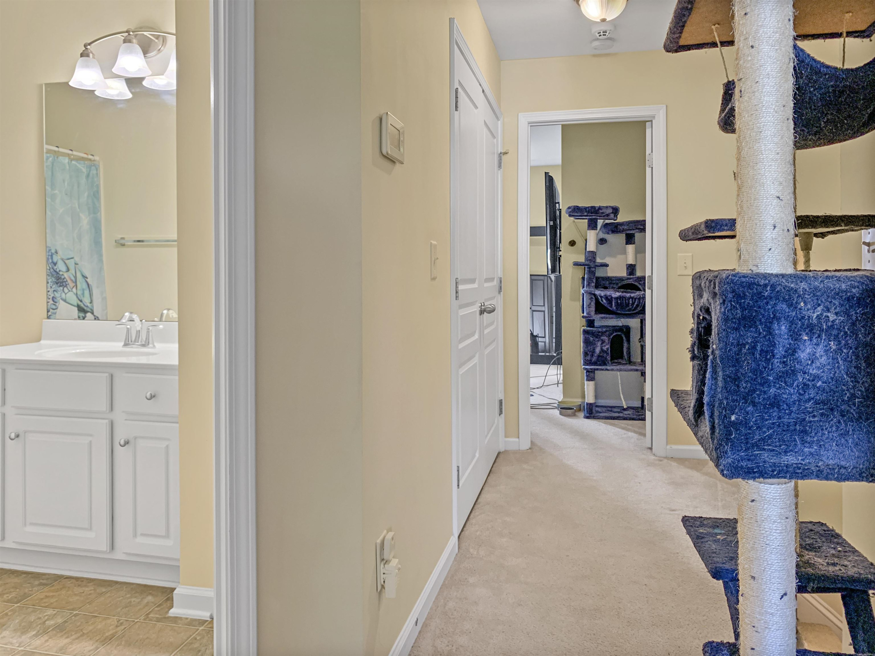 10117 Glen Autumn Road Raleigh, NC 27617 - Photo 23 of 37 Photo 23