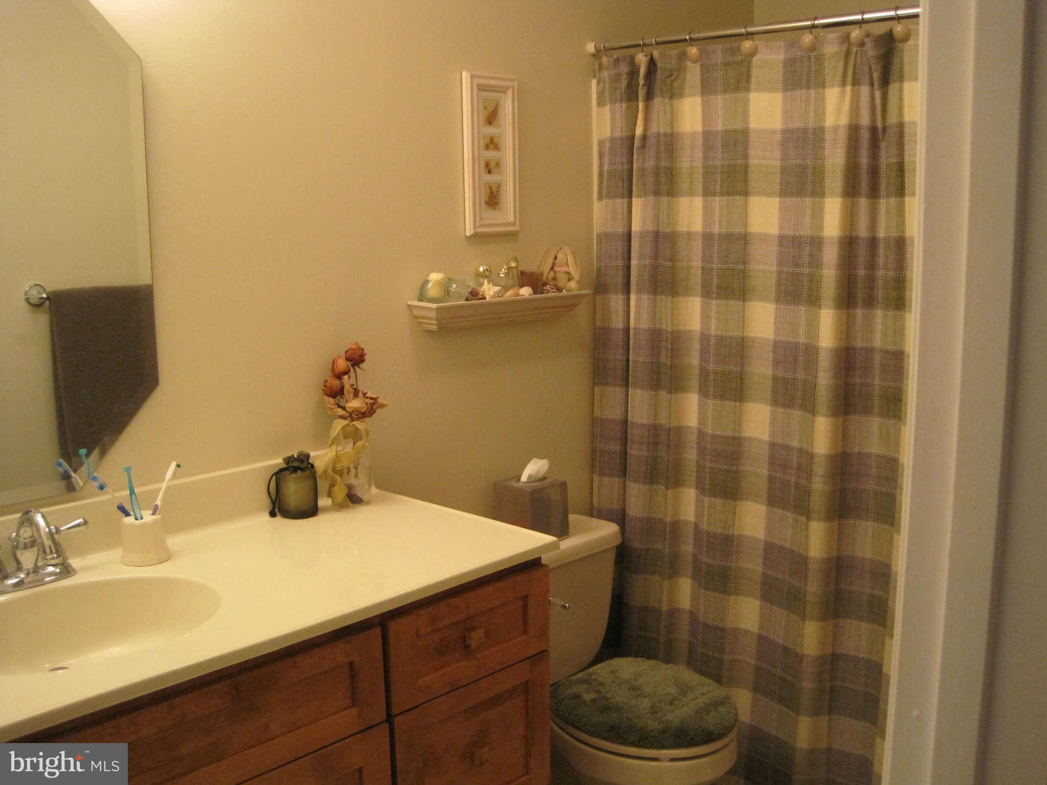 3115 Runnymeade Road Bunker Hill, WV 25413 - Photo 19 of 30 Bath Master