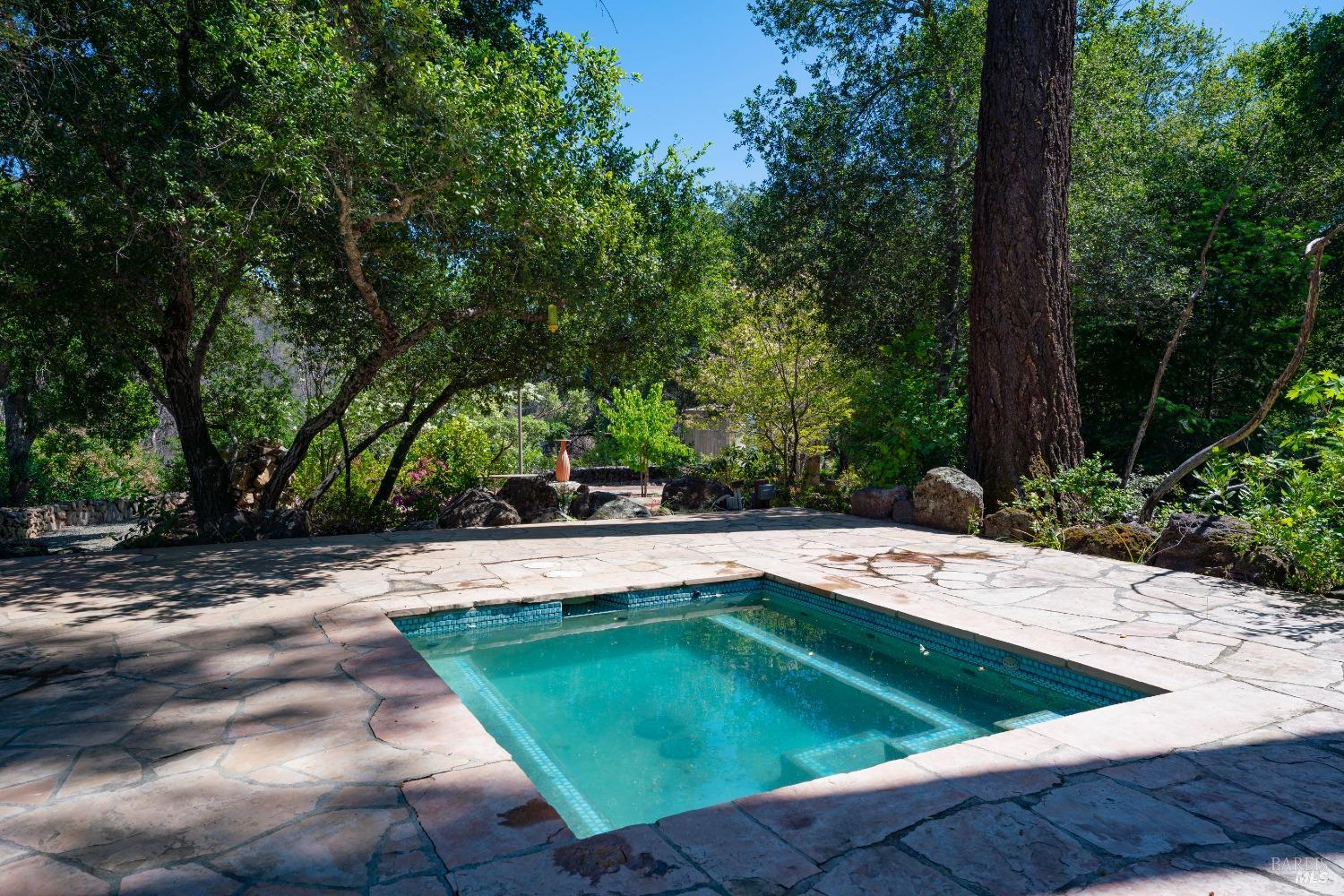 321 Dutch Henry Canyon Road Calistoga, CA 94515 - Photo 29 of 45 a view of a backyard with swimming pool