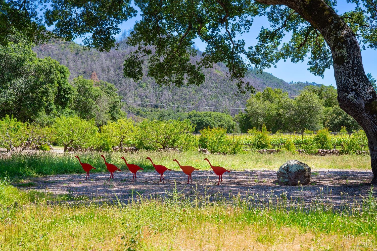 321 Dutch Henry Canyon Road Calistoga, CA 94515 - Photo 38 of 45 a view of a swimming pool and trees
