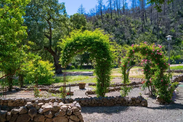 a view of backyard with outdoor seating and trees
