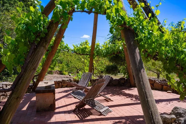 a view of outdoor space and yard