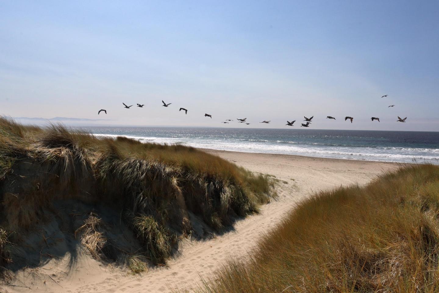 101 Shell Road, Unit 287 La Selva Beach, CA 95076 - Photo 8 of 11 Gallery Image 8
