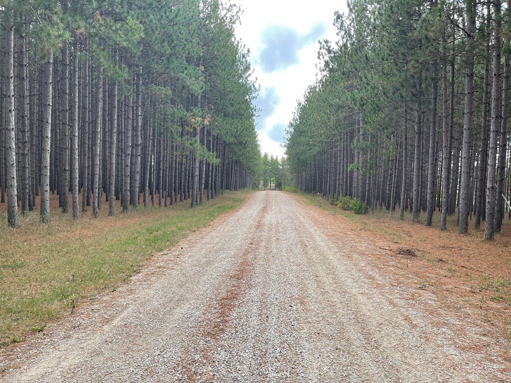 Jack Pine Road Baileys Harbor, WI 54202 - Photo 2 of 4
