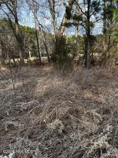362 Sandy Cross Road Belvidere, NC 27919 - Photo 3 of 6 image3