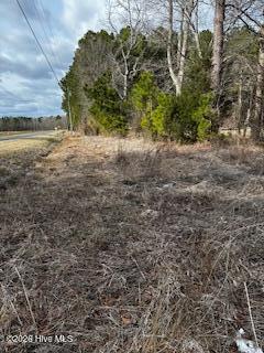 362 Sandy Cross Road Belvidere, NC 27919 - Photo 4 of 6 image4