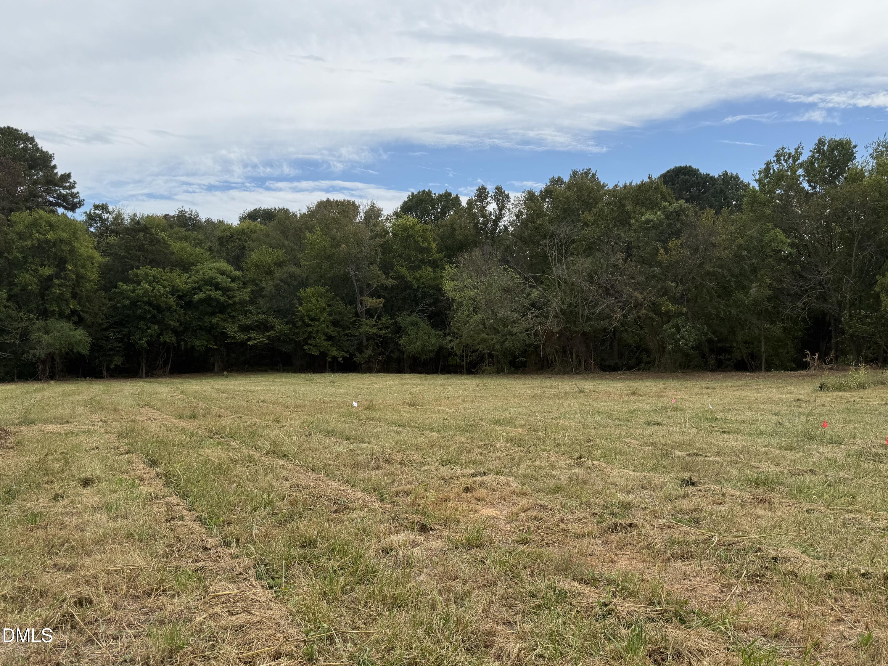 5491 Silk Hope Gum Spring Road Siler City, NC 27344 - Photo 2 of 17 a view of a yard