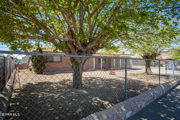 a view of a yard with large trees