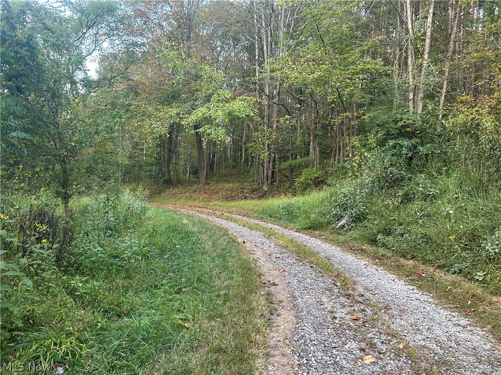 8188 Dozer Road Cambridge, OH 43725 - Photo 9 of 26