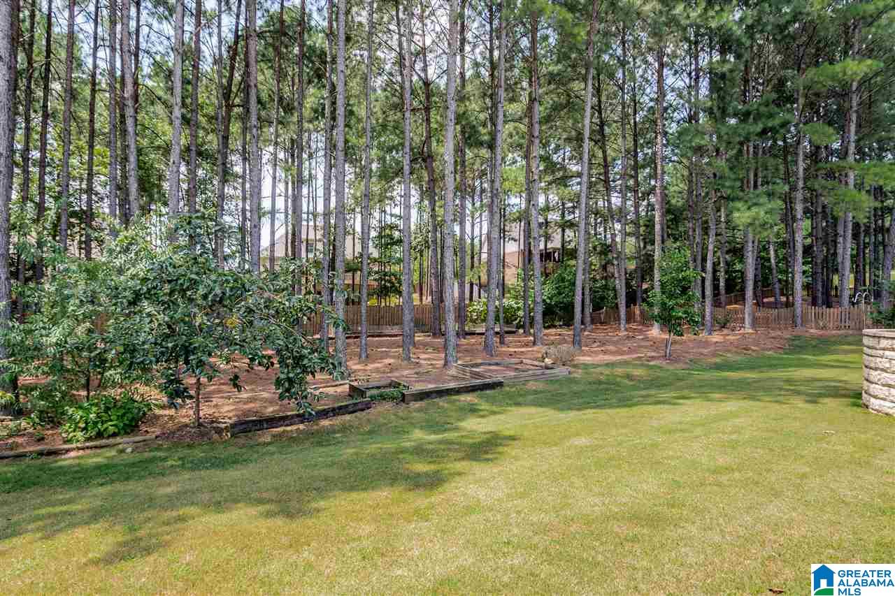 1008 Parkmont Way Chelsea, AL 35043 - Photo 49 of 50
