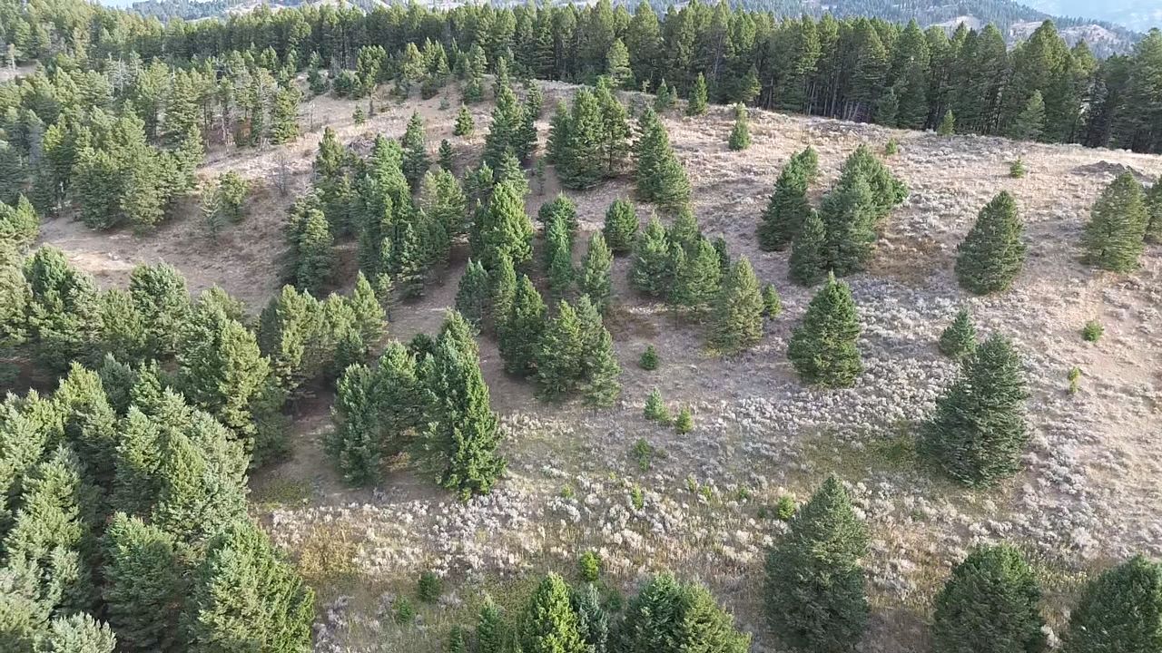 Nhn Chestnut Road Bozeman, MT 59715 - Photo 17 of 27 Gallery Image 17