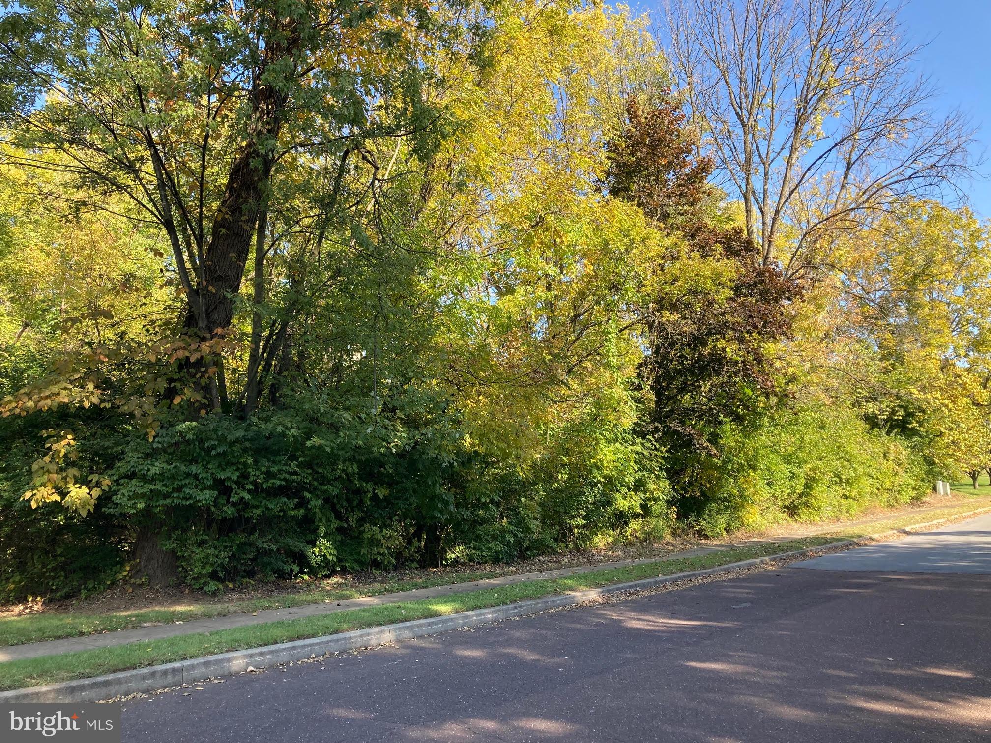 Hearthstone Drive Reading, PA 19606 - Photo 11 of 23