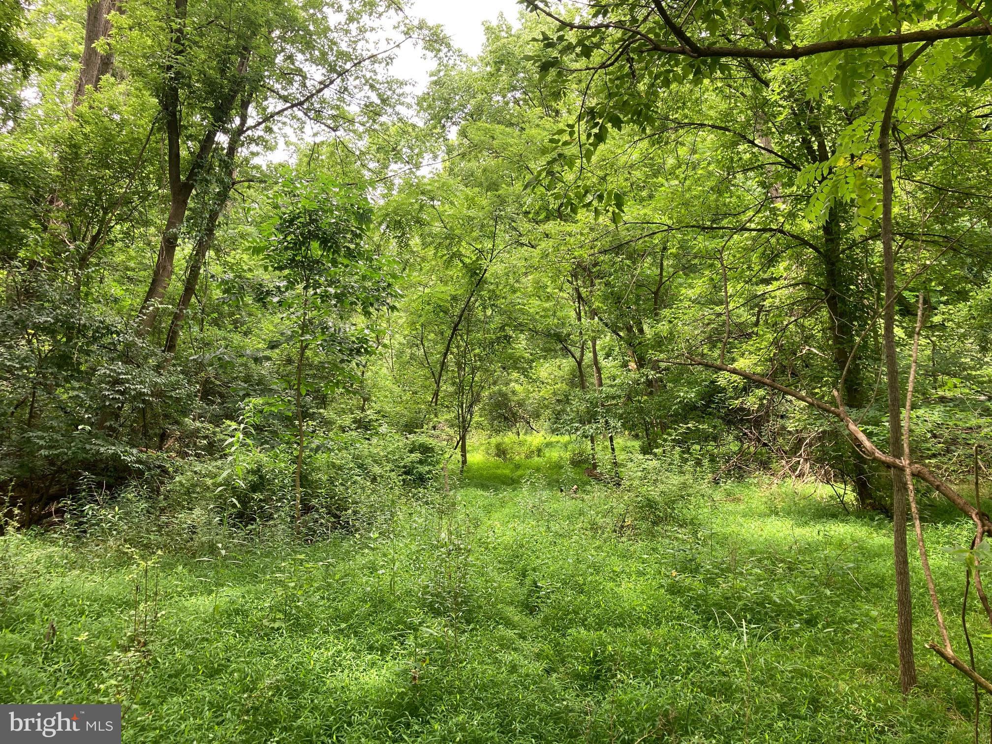 Hearthstone Drive Reading, PA 19606 - Photo 12 of 23