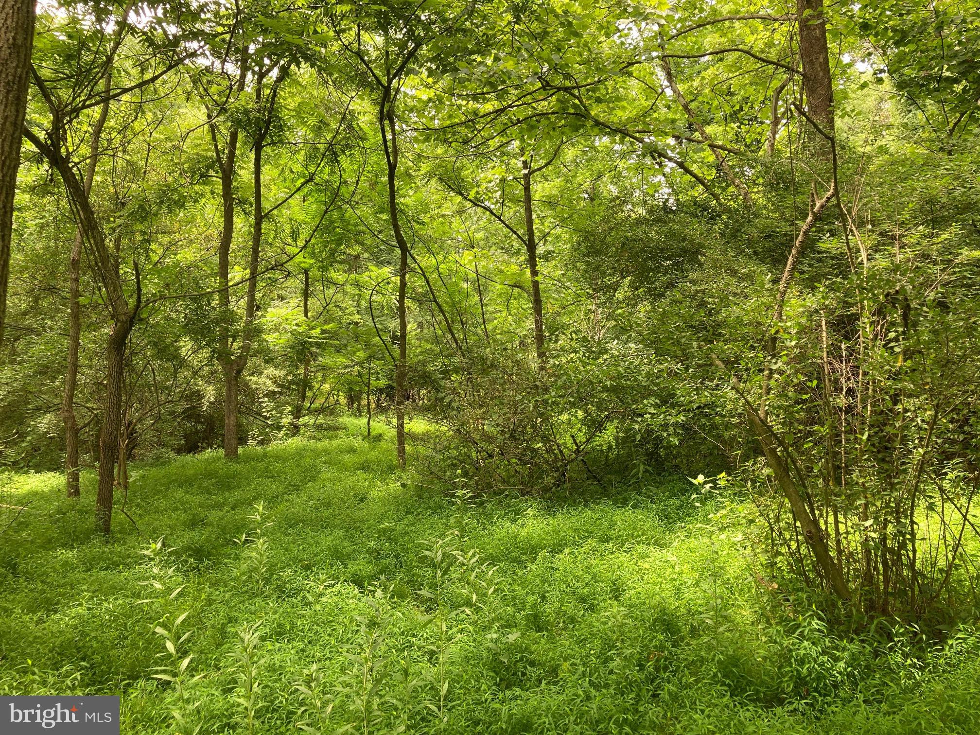 Hearthstone Drive Reading, PA 19606 - Photo 13 of 23