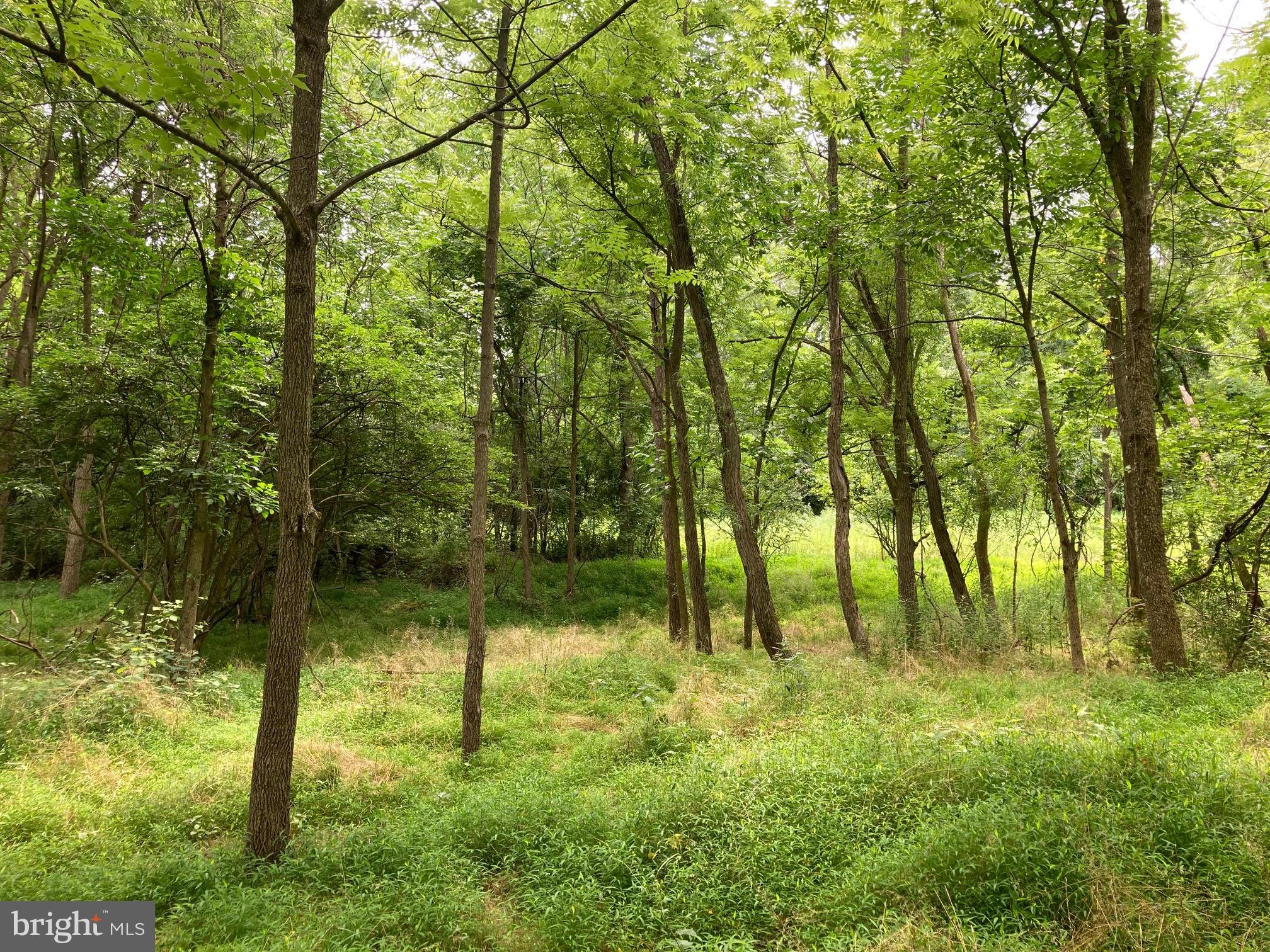 Hearthstone Drive Reading, PA 19606 - Photo 14 of 23