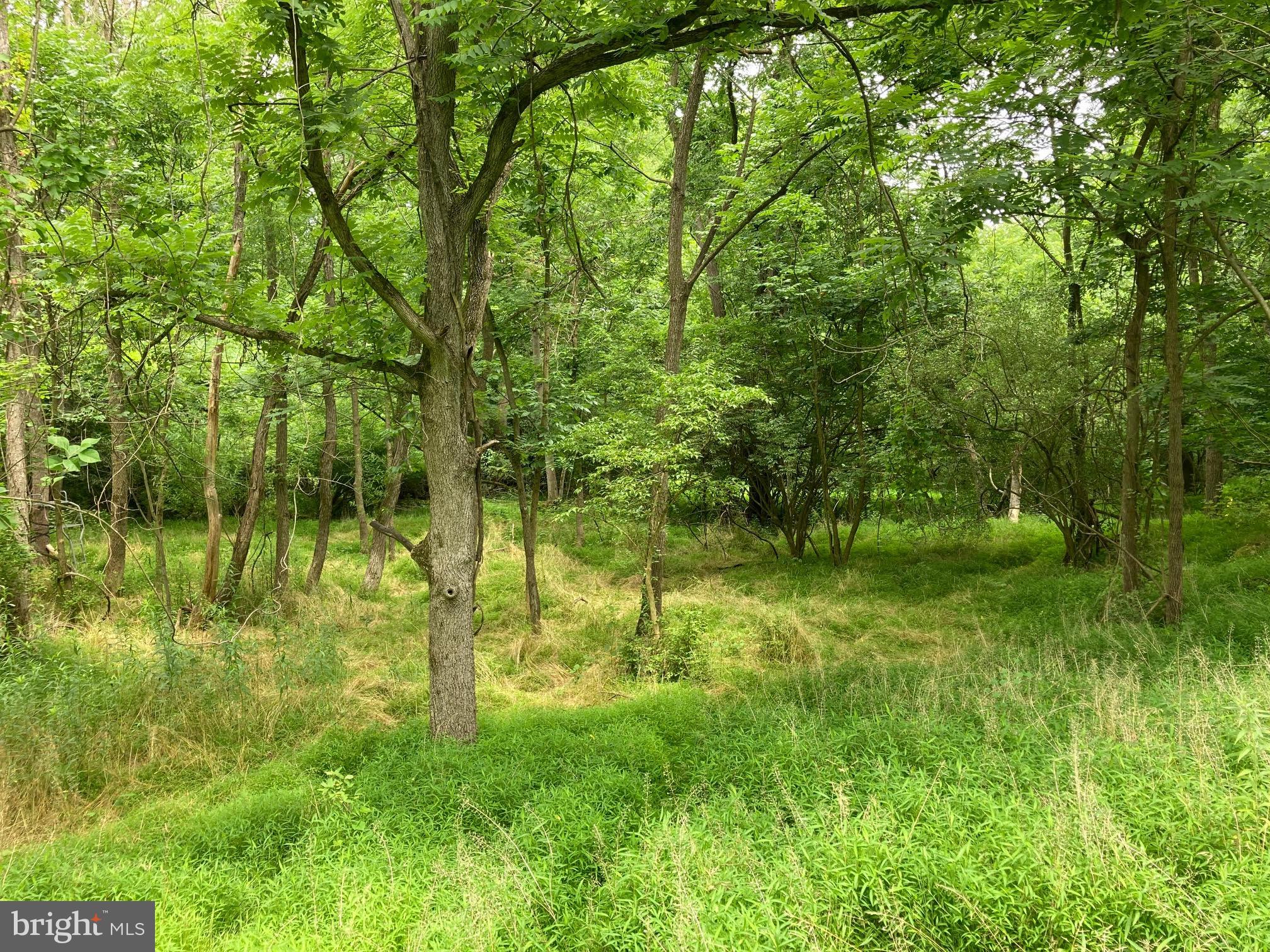 Hearthstone Drive Reading, PA 19606 - Photo 15 of 23