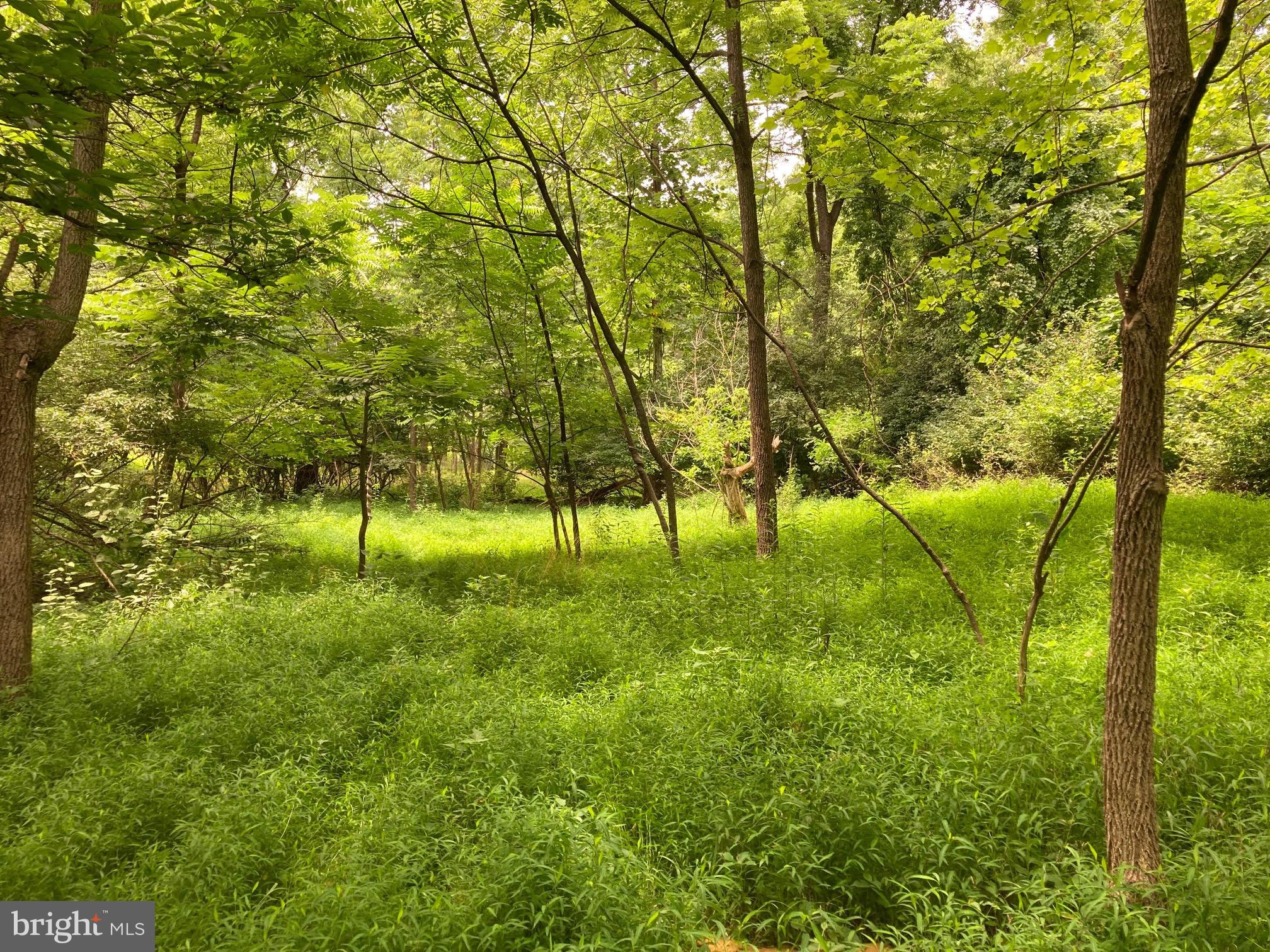 Hearthstone Drive Reading, PA 19606 - Photo 16 of 23