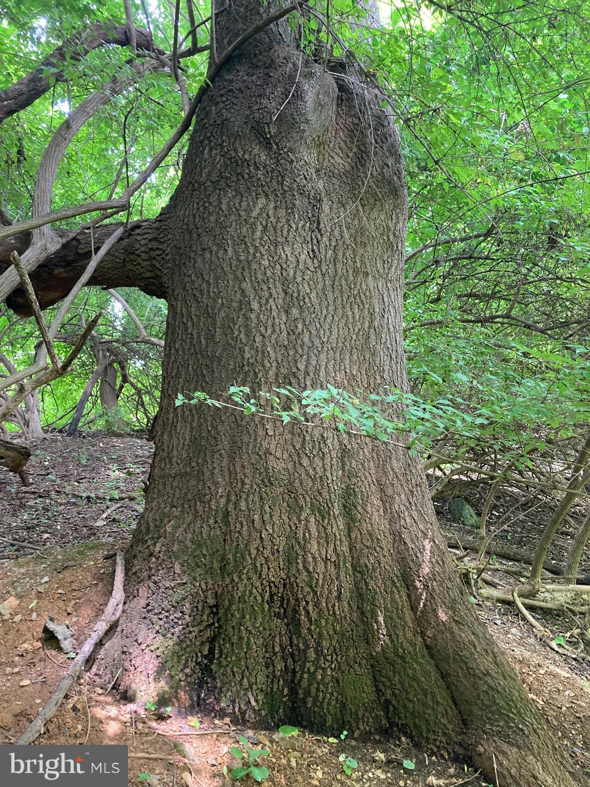 Hearthstone Drive Reading, PA 19606 - Photo 20 of 23