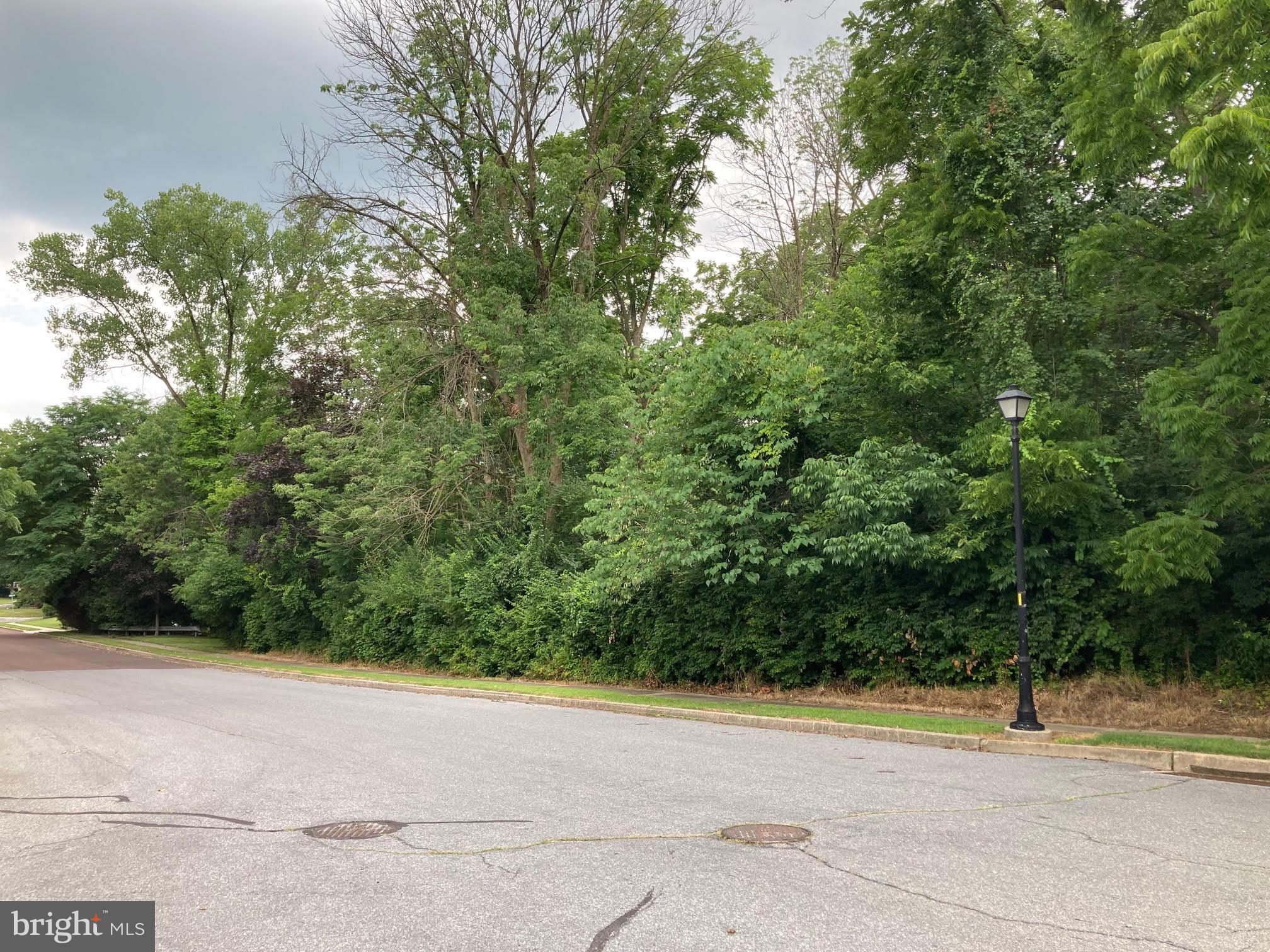 Hearthstone Drive Reading, PA 19606 - Photo 9 of 23